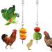 3 Pack Chicken Coop Toys - Chicken Swing, Xylophone, Vegetable Feeder - Medium/Large Bird Training Set - Buy Online on GoSupps.com