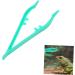 FOMIYES 40 Pcs Animals Feeding Clamp Reptile Feeding Clip Scorpion 20pcsx2pcs Greenx2pcs - Buy Online on GoSupps.com