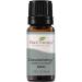Plant Therapy Deodorizing Essential Oil Blend 10 mL (1/3 oz) 100% Pure, Undiluted, Therapeutic Grade 0.34 Fl Oz (Pack of 1)
