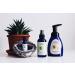 Defend Naturally Essential Oil Blend - 100% Pure Therapeutic Quality Aromatherapy - Fortifying & Restorative 10ml - Wyndmere - Buy Online on GoSupps.com