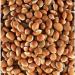 Mochai Kottai/Organic Brown Lima Bean/Bellar Dal/Brown Mochai Kottai Payaru -1000g - Buy Online on GoSupps.com