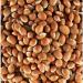 Mochai Kottai/Organic Brown Lima Bean/Bellar Dal/Brown Mochai Kottai Payaru -1000g