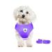 Meioro dog harness with leash reflecting soft padded dogs dishes-active adjustable breast harness for small medium-sized puppy cat-black vest (purple XS breast: 26-29cm) XS breast: 26-29cm purple