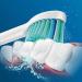 Philips Sonicare C1 ProResults Brush Heads - 10 Pack for Electric Sonic Toothbrushes (HX6010/32) - International Shipping - Buy Online on GoSupps.com
