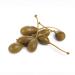 Divina Caper Berries 32oz: Imported Mediterranean Delicacy - Buy Online on GoSupps.com