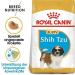 Royal Canin Shih Tzu Puppy | 1.5 kg | Dry food for Shih Tzu puppies | to support coat and digestion | for dogs up to 10 months old - Buy Online on GoSupps.com