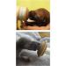Miracle Nipple - Small Puppy - Ideal Nursing Nipple for Small to Medium Animals - Buy Online on GoSupps.com
