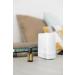 doTERRA Petitgrain Essential Oil 15 mL Pure Aromatic Home Fragrance | Best Quality Essential Oils for Relaxation & Stress Relief | International Shipping Available - Buy Online on GoSupps.com