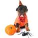 Halloween Dog Hollows - 2 Piece Party Decoration for Dogs & Cats | Pumpkin Spider Web Bats | Perfect for Small to Large Pets - Buy Online on GoSupps.com