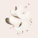 Shiseido Benefiance WrinkleResist24 Pure Retinol Express Eye Mask - 12 Counts - Buy Online on GoSupps.com