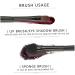 Premium Black Eye Shadow Brush | Versatile Eyeshadow Sponge Applicator for Flawless Makeup - Buy Online on GoSupps.com