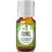 Healing Solutions 10ml Oils - Fennel Essential Oil - 0.33 Fluid Ounces