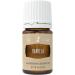 Young Living Vanilla Essential Oil 5ml | Warm Soothing Aroma | Aromatic Diffuser & Topical Use | Natural Sweet Scent with Fractioned Coconut Oil - Buy Online on GoSupps.com