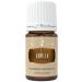 Young Living Vanilla 5ml Essential Oil - Warm Soothing Aroma - Aromatic Diffuser or Topical use - Natural Sweet Scent - Vanilla Planifolia with Fractioned Coconut Oil
