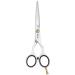 JAGUAR hair scissors PRE STYLE ERGO P 5.5" | Hairdressing scissors in classic design | polished | Made in Germany 1 piece (1 pack)