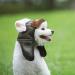 Dog Aviator Hat PU Dog Winter Pilot Caps Retro Fashion with Adjustable Chin Strap Ear Holes for Autumn Winter Cold Weather coffee M - Buy Online on GoSupps.com