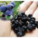 4 Pound (1816 grams) Dried blueberry Grade A from China. - Buy Online on GoSupps.com