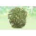 Stevia Leaf-Stevia Rebaudiana-Raw Herbs-Madhu Tulsi-Mithi Tulsi-Stivia Leaves-Jadi Booti-Single Herbs (250 Gram) 250.00 g (Pack of 1) - Buy Online on GoSupps.com