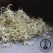Certified Organic Alfalfa Sprouting Seeds - 8 oz Pouch - Handy Pantry Brand - High Germination Rate for Sprouts, Gardening, Hydroponics, and Food Storage - Buy Online on GoSupps.com