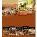 PETSOOO NC-02 RED 1.8kg Reptile Calcium Sand Natural Odorless Pet Climbing Sand for Lizard Spider Snake Gecko Scorpoin - Buy Online on GoSupps.com
