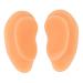 ZJchao 2-Pack Soft Silicone Ear Models for Acupuncture Training | Flexible Ear Anatomy for Doctors & Hospitals - International Shipping Available - Buy Online on GoSupps.com