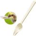 Small Bird Feeder Spoon 6 Inch for Parrot Cockatiel Baby Bird Feeding Tools - Buy Online on GoSupps.com