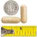 BariatricPal Multivitamin ONE - Iron-Free Capsule (30 Count) - Buy Online on GoSupps.com