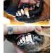 PLAQUE OUT 200g Pot - Natural Tartar Plaque Remover for Dogs & Cats - Organic Teeth & Gum Care - Freshens Breath - Pet Dental Health - Buy Online on GoSupps.com