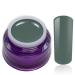 Color Gel Green Avocado UV LED Nail Gel Studio Quality Color Gel RM Beautynails 1 Pack (1x 5ml)