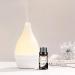 Premium Fruity Essential Oil Set - 10 x 10ml Aromatherapy Kit with Cherry, Mango, Coconut, Lemon, Apple, and More! - Buy Online on GoSupps.com
