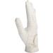 HORZE Eleanor Flex Fit Riding Gloves White 6 - Buy Online on GoSupps.com