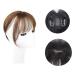 Bangs Clip in Bangs Mini Fringe Hairpiece Straight Clip in Forehead Topper with Wispy Bangs Extension Thin 3D Air Hair Bangs Invisible Seamless Straight Neat Bangs for Women Curved Bangs for Daily W 3d Light Brown