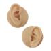 Human Ear Model Silicone Ear Model Display Tool Practice Piercing Tools 1:1 Human Ear Model Use for Perforation Practice Tool Acupuncture Education Human Ear Display Tool (Pair)