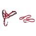 Company of Animals: Halti Headcollar & Double Ended Training Lead Pack suitable for Small Medium and Large dogs