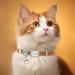 Personalized Light Brown Cat Collar - Engraved with Name & Phone Number Elastic Design with Bell | International Shipping Available - Buy Online on GoSupps.com
