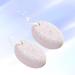 Lurrose 2pcs Foot File Set - Earth Tones Pedicure Tools for Smooth Feet | Best Foot Rasp for Effective Foot Care - Buy Online on GoSupps.com