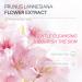 Japanese Cherry Blossom Body Wash 200ml | Moisturizing & Exfoliating Cleanser with 15 Amino Acids for Dry Skin | Hydrate Rough Skin for Men & Women - Buy Online on GoSupps.com