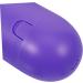 Hoement 2-Piece Purple Storage Box Organizer for Menstrual Care - Durable Carrier Container - Buy Online on GoSupps.com