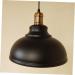 Chandelier Pendant Light Iron Hanging lampshade Retro Ceiling lamp Pendant lamp Ceiling Lights Hanging lamp Shade Vintage Ceiling Light Vintage lamp Shade Lighting Branches Fixture Beauty Comes - Buy Online on GoSupps.com