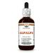 Alfalfa (Medicago Sativa) Dry Leaf Glycerite Made in Hawaii Organic Raw Materials All Natural Vegan Lab Tested Alcohol-Free Liquid Extract - 2 fl.oz 2 Fl Oz (Pack of 1)