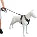 Bossdog No Pull Dog Harness & Lead Set | Anti Pull for Small, Medium, Large & Puppy Dogs | Top Handle & Reflective Strips (Large Black) - Buy Online on GoSupps.com