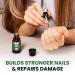 Extra Strength Toenail Fungus Treatment - Nail Repair Solution for Thick, Discolored Nails - Renews and Repairs Damaged Ingrown Toenails - With Tea Tree Oil for Healthier Nails - Buy Online on GoSupps.com