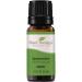 Plant Therapy Spearmint Essential Oil 10 mL (1/3 oz) 100% Pure Undiluted Therapeutic Grade