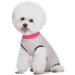 Pet Surgery Recovery Suits Soft Cotton Pet Recovery T-Shirt Dogs Abdominal Wound Protector After Surgery Wear Medical Surgical Clothes for Small Dogs Medium Dog Cats (Pink Small) Pink Small - Buy Online on GoSupps.com