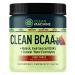 Clean BCAA - Natural Food Sourced Vegan BCAAs & Organic Coconut Water Electrolytes - Vegan Amino Acid Supplement - Fruit Punch - 216g