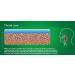 GeloRevoice Cherry Menthol Throat Lozenges - 20 Pieces | Soothes Sore Throat with Natural Cherry Flavor - Buy Online on GoSupps.com