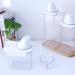 Laundry Detergent Dispenser Clear Washing Powder Container with Lid and Handle Laundry Detergent Powder Storage Box for Laundry Powder Beads Oatmeal Pet Food - Buy Online on GoSupps.com
