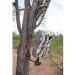 HME Products Economy Trail Camera Holder - Olive, 6.50x5.24x1.38 - Buy Online on GoSupps.com