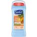 Suave Deodorant 2.6 Ounce 24Hr Tropic Paradise Invis. Solid (76ml) (2 Pack) Tropical Paradise 2.6 Ounce (Pack of 2) - Buy Online on GoSupps.com