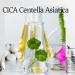 Hyaluronic Acid Serum for Face - Korean Cica with Centella Asiatica & Niacinamide | Acne Treatment & Elasticity Boost | 30ml Korean Skin Care - Buy Online on GoSupps.com